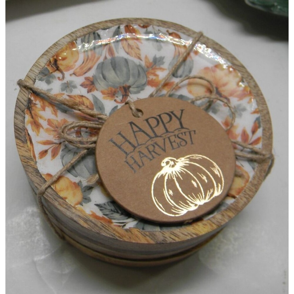 Lot of Fall Decor Coasters Pumpkin Salt Pepper Butter Dish Thanksgiving NWT - Picture 2 of 5